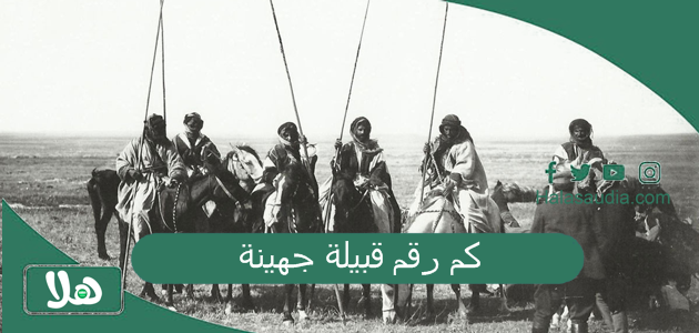 كم رقم قبيلة جهينة ، فخوذ قبيلة جهينة 1 كم رقم قبيلة جهينة