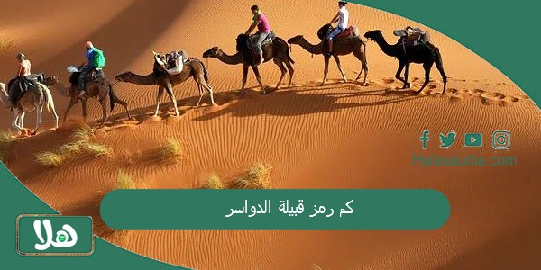 كم رمز قبيلة الدواسر؟ من هم فخوذ الدواسر 1 كم رمز قبيلة الدواسر
