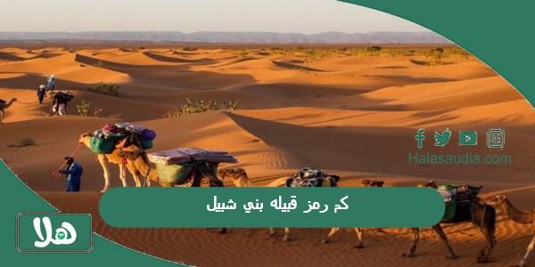 كم رمز قبيله بني شبيل؟ هل بني شبيل من الاشراف؟ 1 كم رمز قبيله بني شبيل