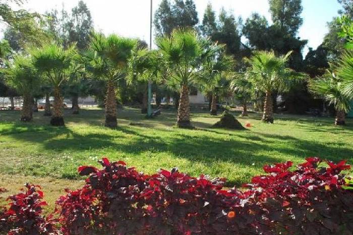 حديقة الغدير في جدة