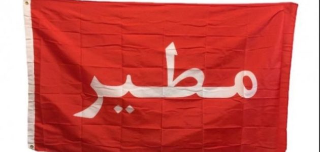 شجرة ذوي عون من مطير.. شجرة مطير 1 شجرة ذوي عون من مطير