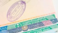 استعلام عن تاشيره زياره 1446إنجاز برقم الجواز أو رقم الطلب