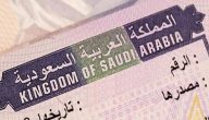 أبرزها العمرة والزيارة الشخصية.. الخارجية توضح أنواع التأشيرات التي تمكنك من دخول المملكة