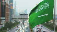 تعرفي على حقوق زوجة المواطن .. وهل زوجة المواطن يسمح لها بالعمل ؟