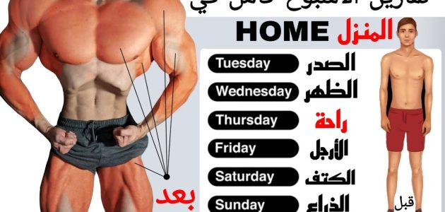 أسبوع كامل | جدول تمارين حديد pdf بأفضل نظام للمبتدئين.. لن تحتاج مدرب خاص!!! 1 جدول تمارين حديد