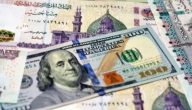 تغيرات هائلة في العملة | سعر الريال السعودي مقابل الجنيه المصري والدولار الأمريكي