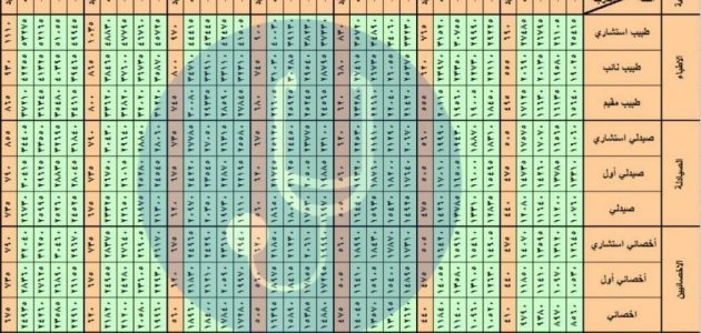 سلم رواتب الصيادلة في السعودية 1446-2025 البدلات الجديده 1 سلم رواتب الصيادلة في السعودية