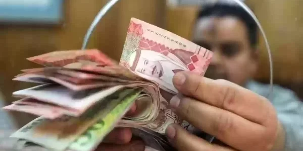 سلم رواتب الموظفين بعد الخصخصة خصخصة القطاعات الحكومية 1446 والعلاوة السنوية 1 سلم رواتب الموظفين بعد الخصخصة خصخصة القطاعات الحكومية