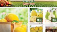 عروض العثيم الطازج 2025 تطبيق عروض العثيم