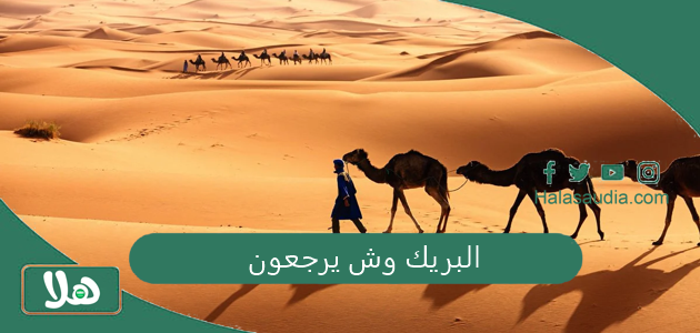 البريك وش يرجعون وما هو أصل البريك 1 البريك وش يرجعون