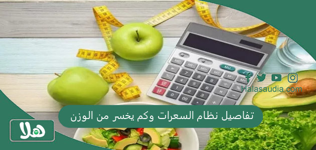 "أسهل رجيم في العالم" تفاصيل نظام السعرات وكم يخسر من الوزن 1 تفاصيل نظام السعرات وكم يخسر من الوزن