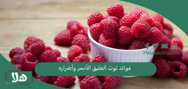 فوائد توت العليق الأحمر وأضراره 1 فوائد توت العليق الأحمر وأضراره