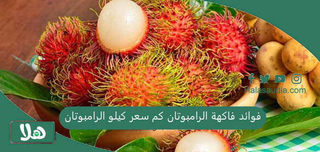 فوائد فاكهة الرامبوتان كم سعر كيلو الرامبوتان؟ 1 فوائد فاكهة الرامبوتان كم سعر كيلو الرامبوتان
