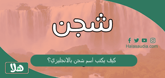 كيف يكتب اسم شجن بالانجليزي؟ 1 كيف يكتب اسم شجن بالانجليزي؟