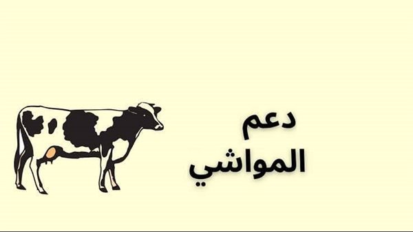 شروط دعم المواشي ومبلغ الدعم للمستحقين الجدد 1446 1 شروط دعم المواشي