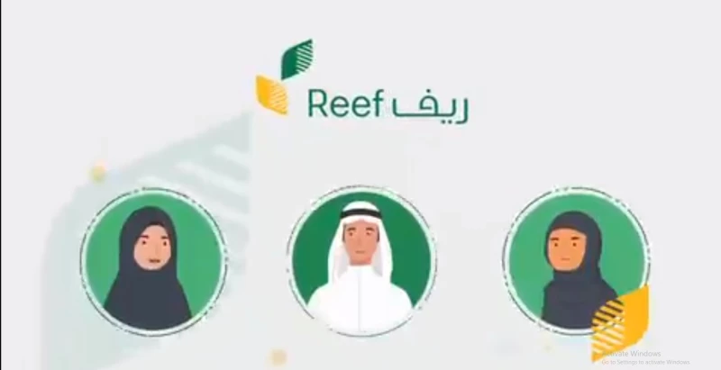 متى ينزل دعم ريف لهذا الشهر وكم يستحق صغار مربي الماشية من ريف؟! إليك الإجابة 1 متى ينزل دعم ريف لهذا الشهر