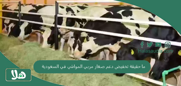 ما حقيقة تخفيض دعم صغار مربي المواشي في السعودية