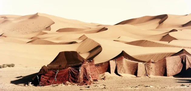 509 رمز اي قبيلة في السعودية 1 509 رمز اي قبيلة في السعودية
