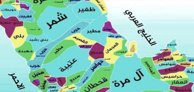 707 رمز اي قبيلة في السعودية 1 707 رمز اي قبيلة في السعودية