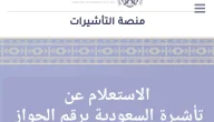 برقم الجواز | الاستعلام عن التأشيرة في المملكة العربية السعودية 1445 وشروط الحصول عليها إلكترونيًا ورابط الخدمة