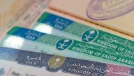 وزارة الخارجية استعلام عن تأشيرة زيارة شخصية برقم الجواز 1445