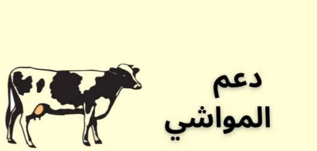 وزارة البيئة والمياه والزراعة السعودية تعلن طريقة الاستعلام عن دعم المواشي 2025 وأبرز شروط الحصول على الدعم 1 استعلام عن دعم المواشي