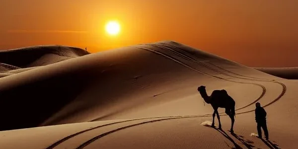الحصيني وش يرجع ووش هي ديرته 1 الحصيني وش يرجع ووش هي ديرته