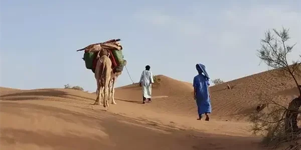 الخريجي وش يرجعون ووش هي ديرتهم 1 الخريجي وش يرجعون ووش هي ديرتهم