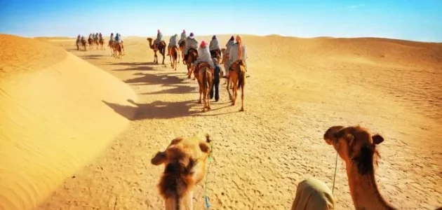 الدغيلبي وش يرجع وهل هم من عتيبه