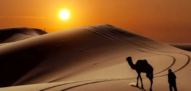 السعدي وش يرجع ووش هي ديرته 1 السعدي وش يرجع ووش هي ديرته