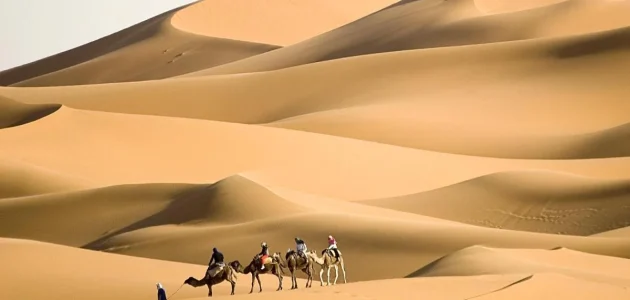 العصيمي وش يرجع ووش هي ديرته 1 العصيمي وش يرجع ووش هي ديرته