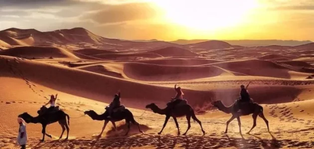 الغفيلي وش يرجع ووش هي ديرته 1 الغفيلي وش يرجع ووش هي ديرته