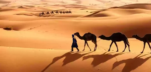 القارحي وش يرجع ووش هي ديرته 1 القارحي وش يرجع ووش هي ديرته