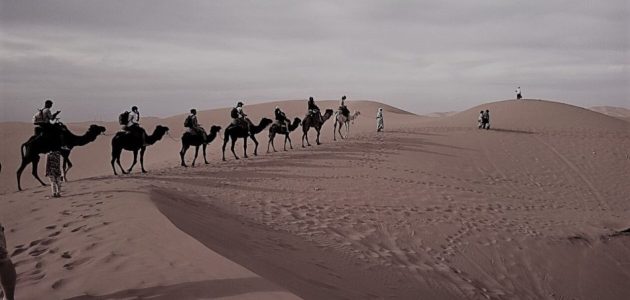 القريني وش يرجع ووش هي ديرته 1 القريني وش يرجع ووش هي ديرته
