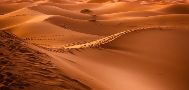 النفيعي وش يرجع ووش هي ديرته 1 النفيعي وش يرجع ووش هي ديرته