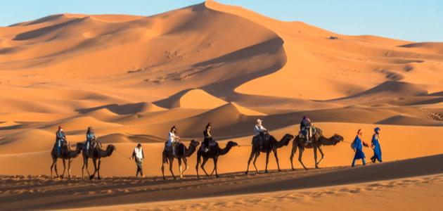 قبيلة الأنصاري في السعودية وأبرز المعلومات عنها 1 قبيلة الأنصاري في السعودية وأبرز المعلومات عنها