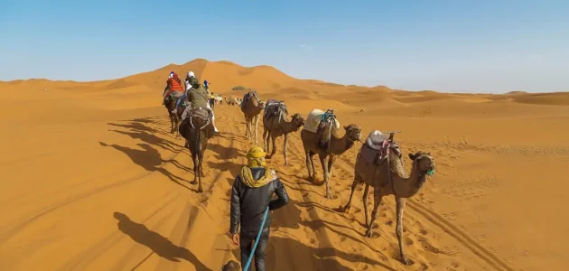 قبيلة الحسيني وش ترجع؟! قبيلة من نسل آل البيت 1 قبيلة الحسيني وش ترجع