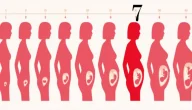 أعراض الحمل في الشهر السابع بولد وأهم التغيرات التي تحدث للجنين