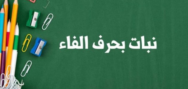 اسم نبات بحرف الفاء (ف) غير مشهور 1 اسم نبات بحرف الفاء (ف) غير مشهور