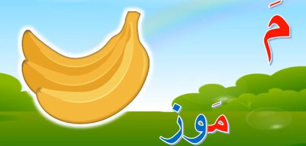 اسم نبات بحرف الميم (م) مختلف 1 اسم نبات بحرف الميم (م) مختلف