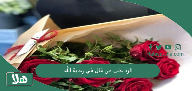 الرد على من قال في رعاية الله... أجمل رد على في رعاية وحفظ الله 1 الرد على من قال في رعاية الله