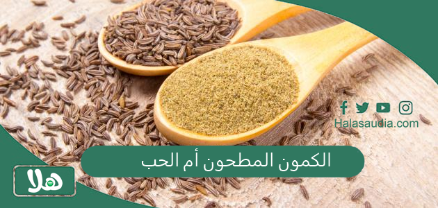 ايهما أفضل في الطعام؟ الكمون المطحون أم الحب؟ 1 الكمون المطحون أم الحب