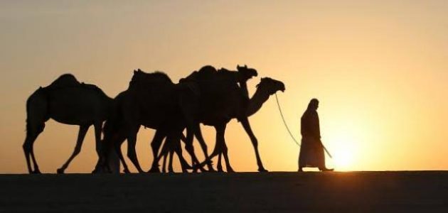 ما اسم الصحابي الذي نزل الرسول ضيفا في بيته وأبرز المعلومات عنه 1 من هو الصحابي الذي رفضه أهل الأرض؟ وما سبب رفضه على الأرض؟