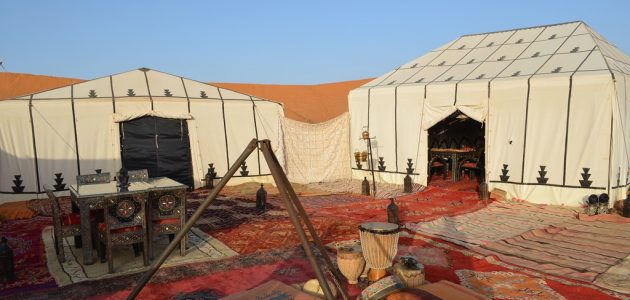 ما هو نسب قبيلة الحويطات في السعودية؟ شجرة قبيلة الحويطات الحقيقي 1 ما هو نسب قبيلة الحويطات في السعودية