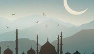 من هو النبي الذي لم يتزوج؟ وما السبب؟