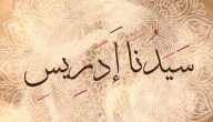 من هو النبي الذي قبضت روحه في السماء؟ وما القصة؟