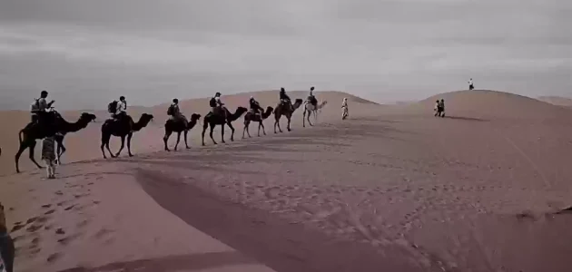 هل قبيلة الشنقيطي سعودي؟ أصل عائلة الشنقيطي من وين 1 هل قبيلة الشنقيطي سعودي؟ أصل عائلة الشنقيطي من وين
