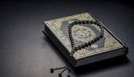هل يجوز قراءة القران وانا امشي؟ حكم قراءة القرآن أثناء ممارسة الأعمال