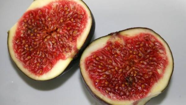 ما تفسير حلم رؤية أكل التين في المنام 1 تفسير حلم رؤية أكل التين في المنام