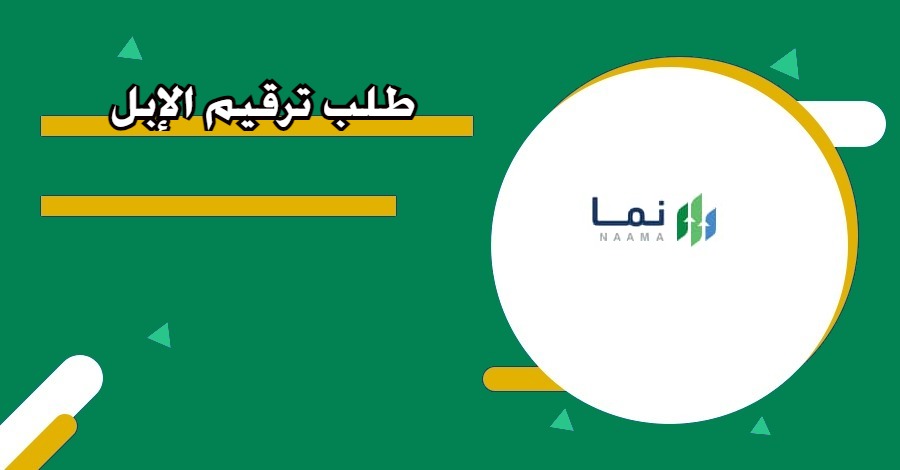 أيام وتنتهي المهلة.. سارع بتقديم طلب ترقيم الإبل في المملكة بهذه الطريقة 1 طلب ترقيم الإبل